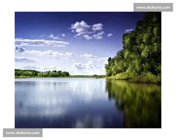 《天上水杯里的梦想与渴望在岁月中流转的歌声》